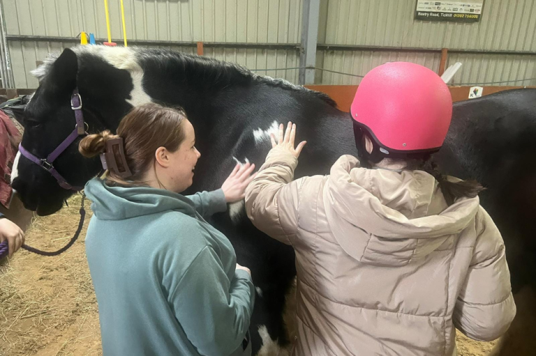 Service user grooming horse